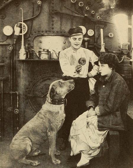 Teddy at the Throttle