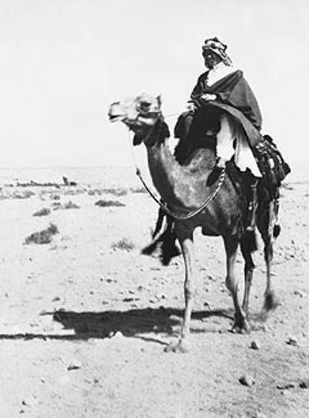 Lawrence of Arabia: The Authorised Biography of T.E. Lawrence